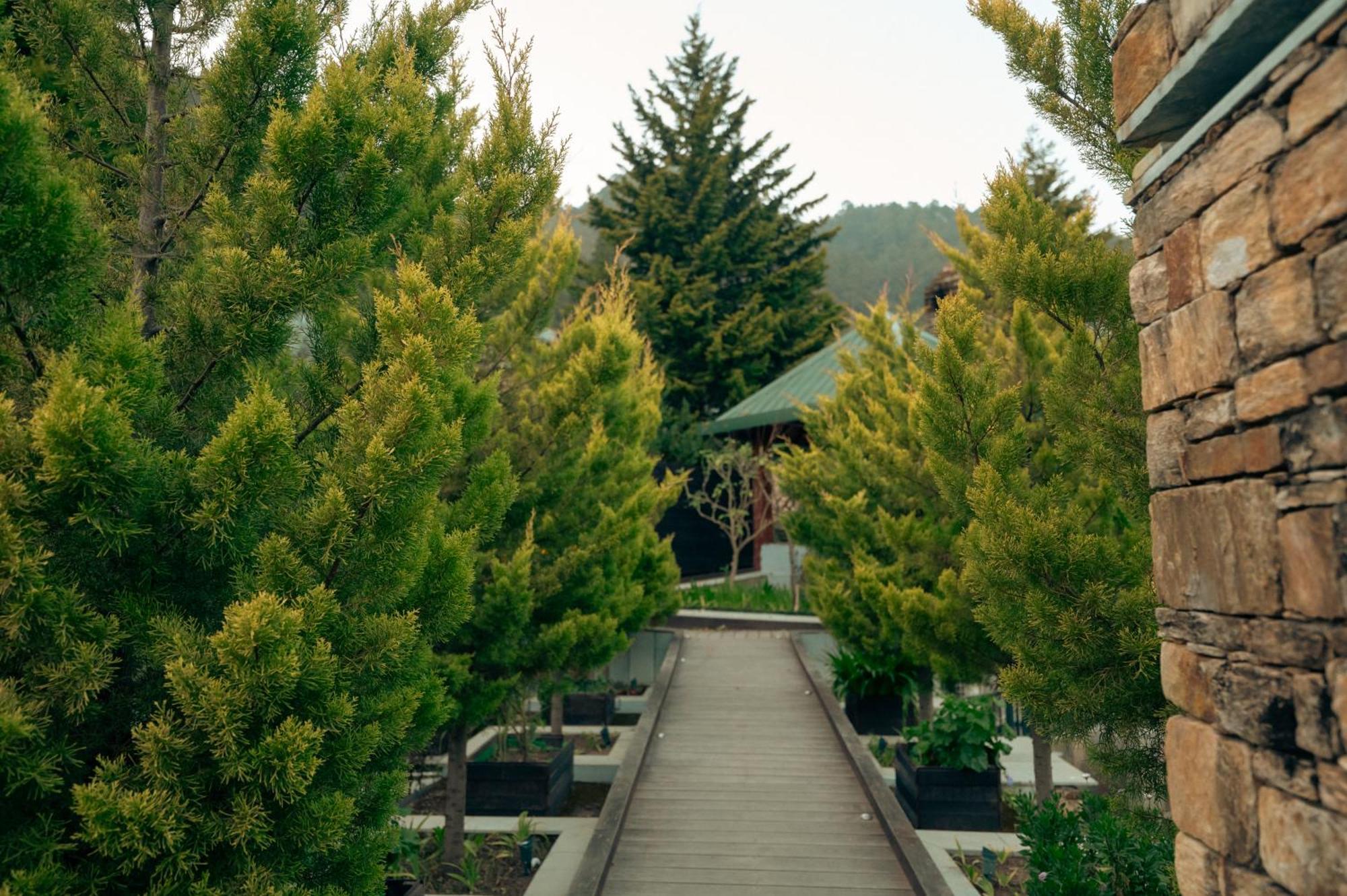 Brij Atmanya Bhowali, Nainital, A Luxury Mountain Escape Exterior photo